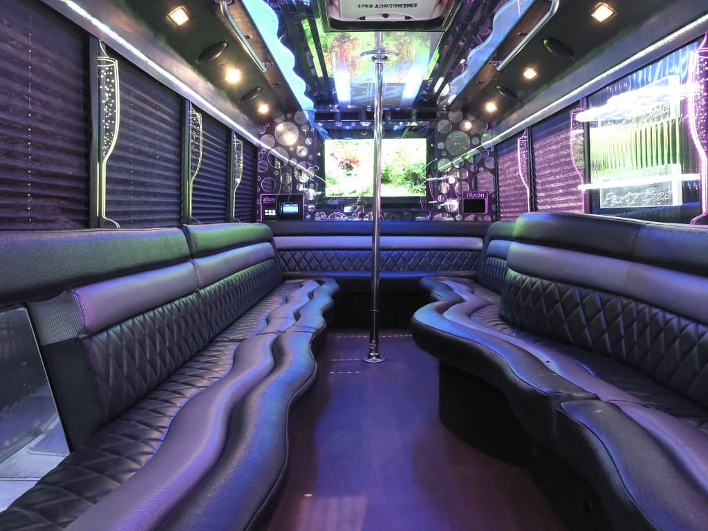 The Deluxe Party Bus Gallery 2