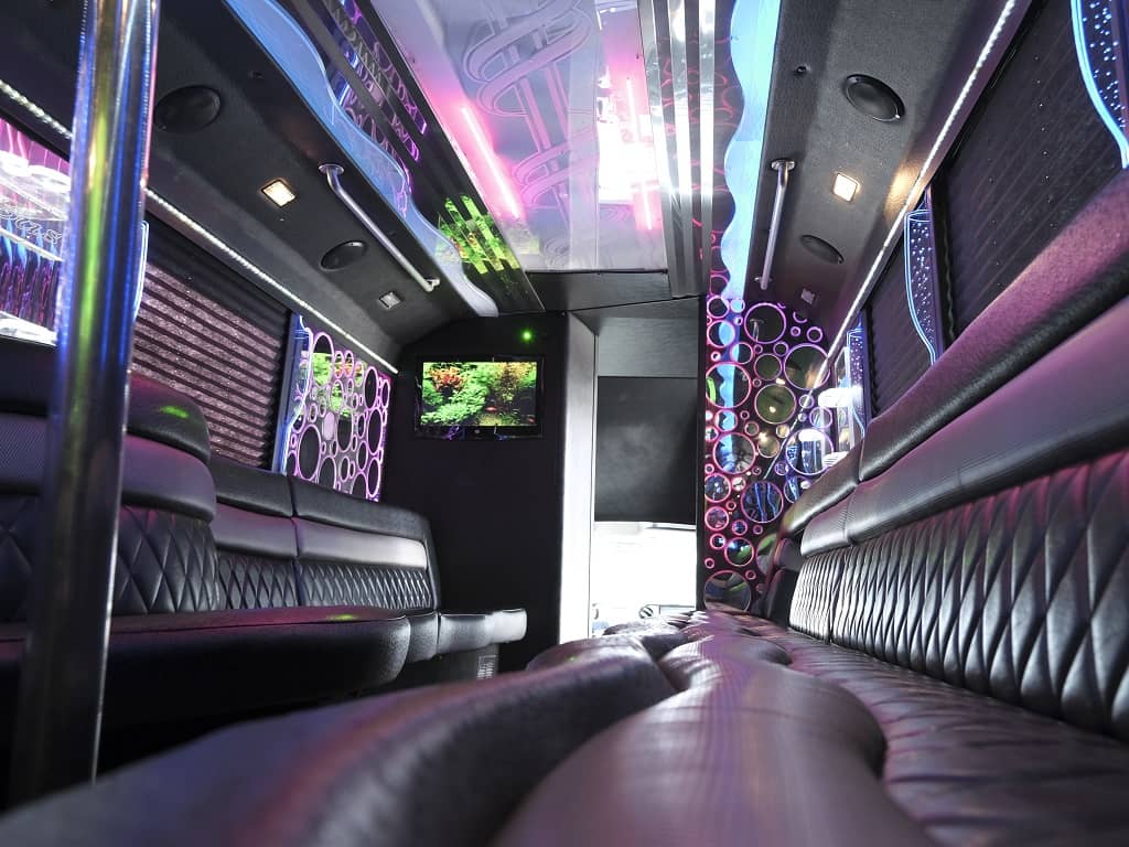 The Deluxe Party Bus Gallery 3
