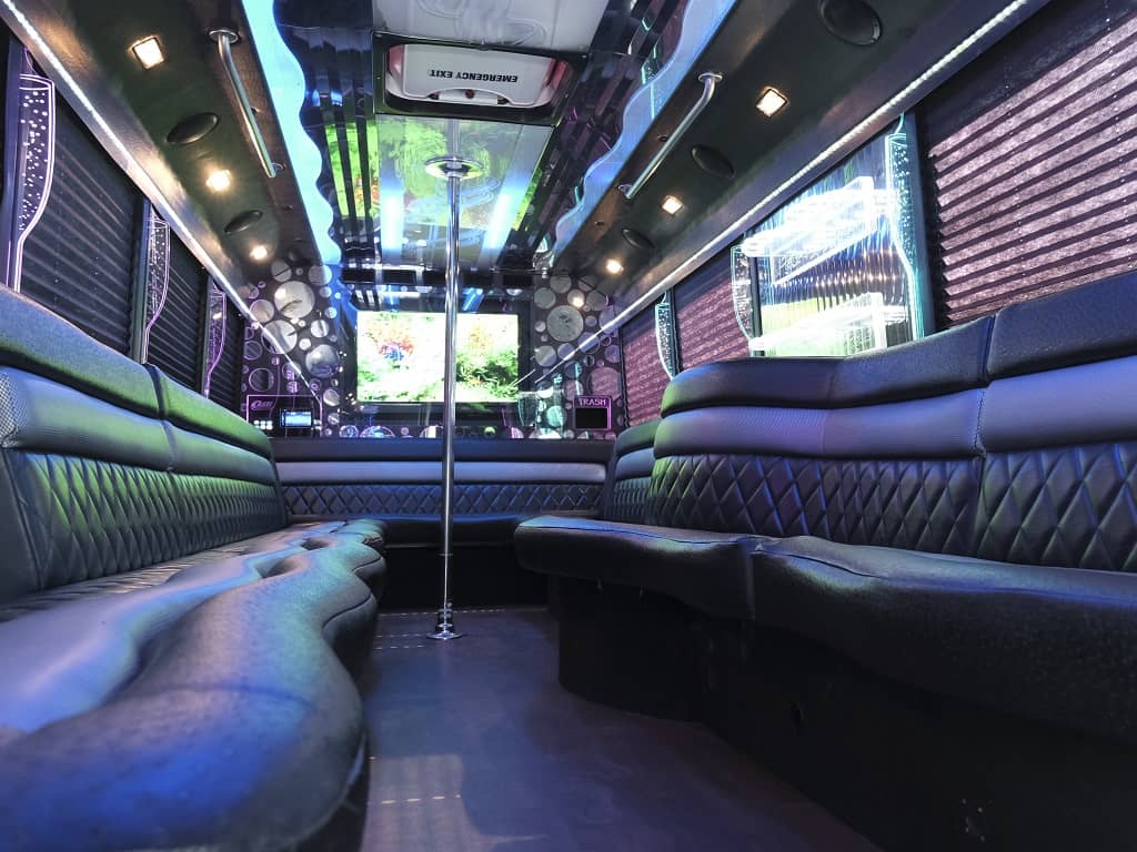 The Deluxe Party Bus Gallery 4