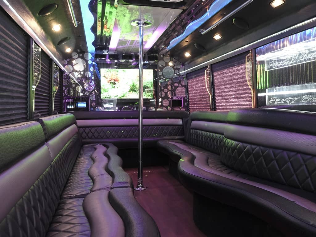 The Deluxe Party Bus Gallery 6