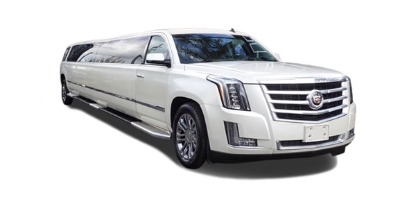 ST PETE PARTY BUS FLEET - THE CADDY